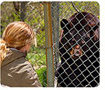 behind scenes1 Activities For Families