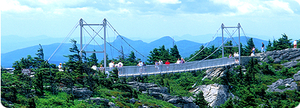 Mountain Escapes Swinging Bridge
