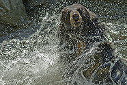 2011 Nature Photo Winners Jim Miller
