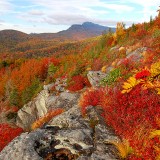 from Blue Ridge Parkway