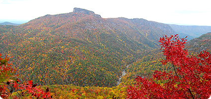 Table Rock and Linville Gorge