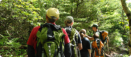 Nature Walks walking trail