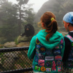 Permalink to Daily Events bear_girlscouts