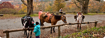 Moses Cone Park