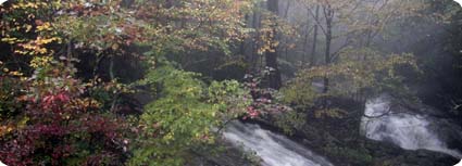 US 221 Waterfall