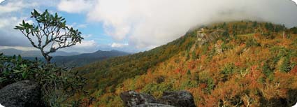 Linville Bluffs