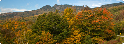 Blue Ridge Parkway