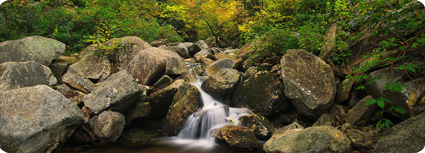 Wilson Creek