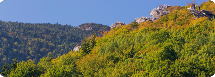 Rough Ridge fall little
