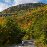 Permalink to US 221 fall