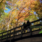 Permalink to Boone Fork Bridge fall