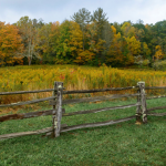 Permalink to Blue Ridge Parkway fall