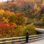 Permalink to Green Mountain Creek Bridge fall