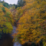 Permalink to Linville River fall