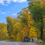 Permalink to US 221, Linville fall