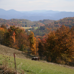 Permalink to Near Banner Elk fall
