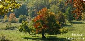 Permalink to Tanawha Trail wednesdaybig