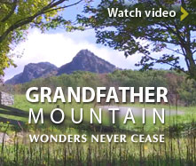 Grandfather mountain discount coupons