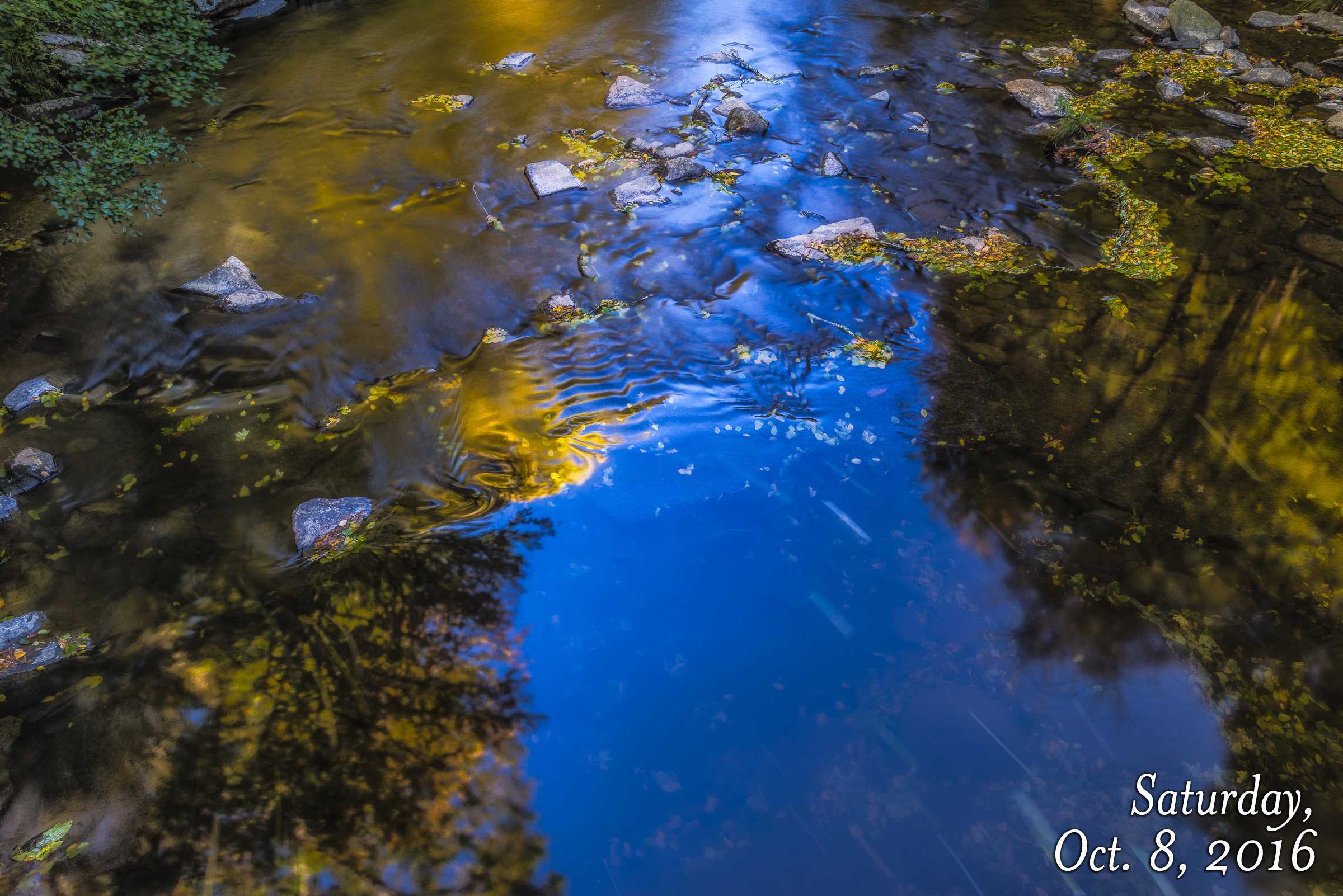 [Image: 101216_gfm_linville_river_SS_big.jpg]